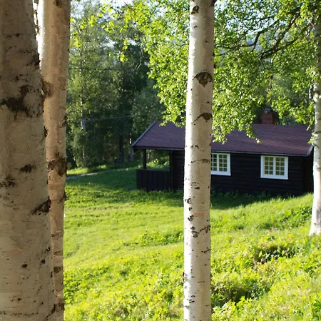 Ljoshaugen