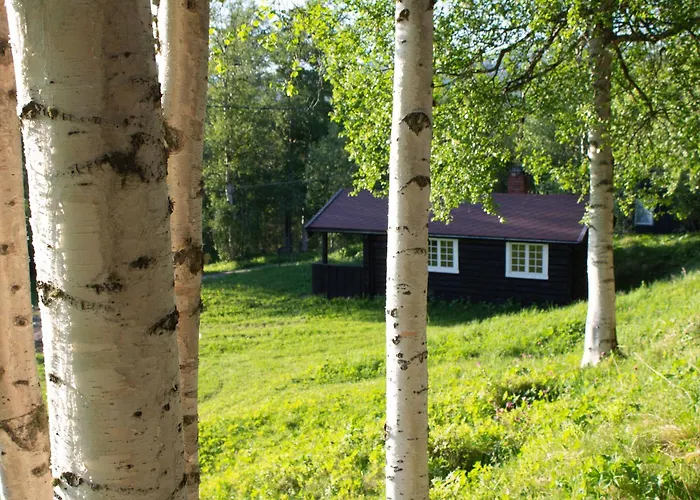 Ljoshaugen